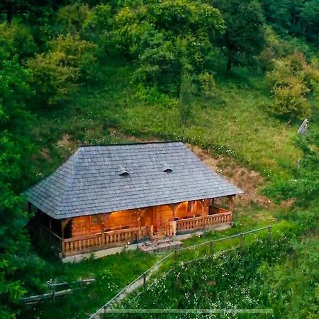 Вілла Casuta Bunicilor Вишово-Нижнє Екстер'єр фото